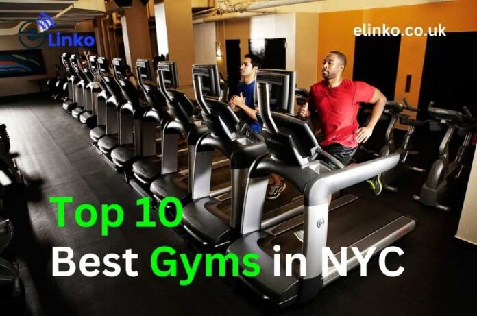Top 10 Best Gyms in New York City for Bodybuilding