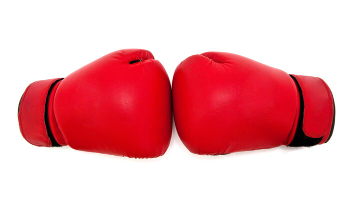 Which Company Makes The Best Quality Boxing Gloves?